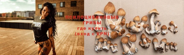 твердый Абаза