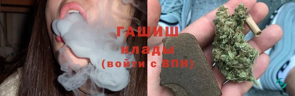 твердый Абаза