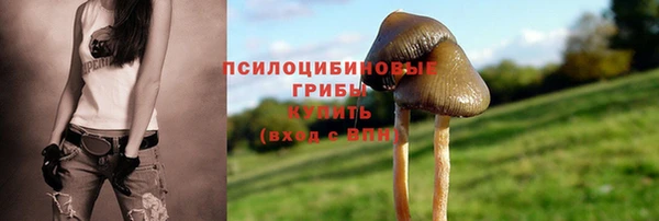 твердый Абаза