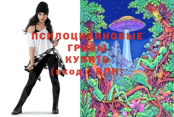 твердый Абаза