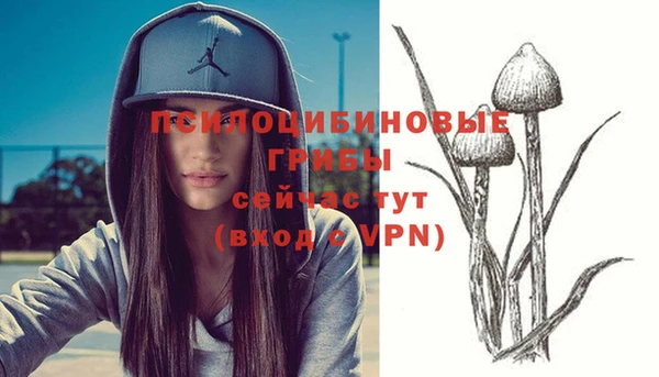 гашиш Приозерск